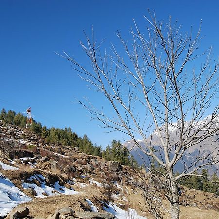 Auli Resort Joshīmath Extérieur photo