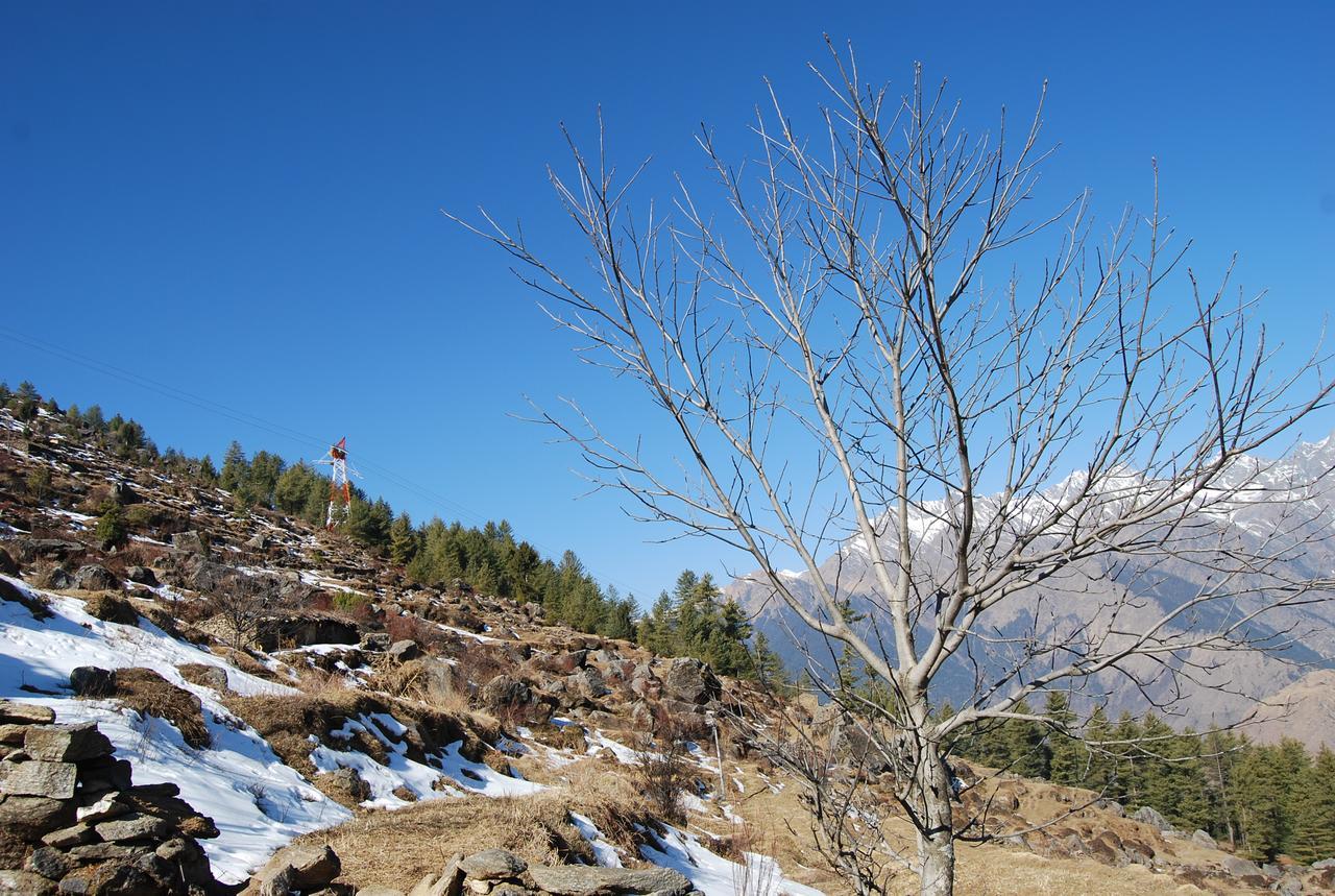 Auli Resort Joshīmath Extérieur photo